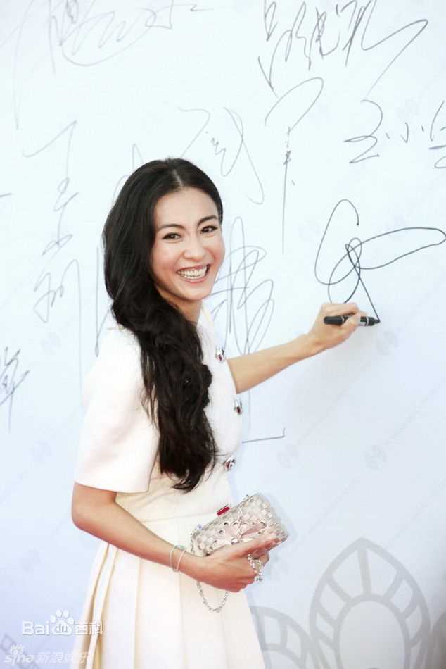 最优质张柏芝(Cecilia Cheung)精彩图册