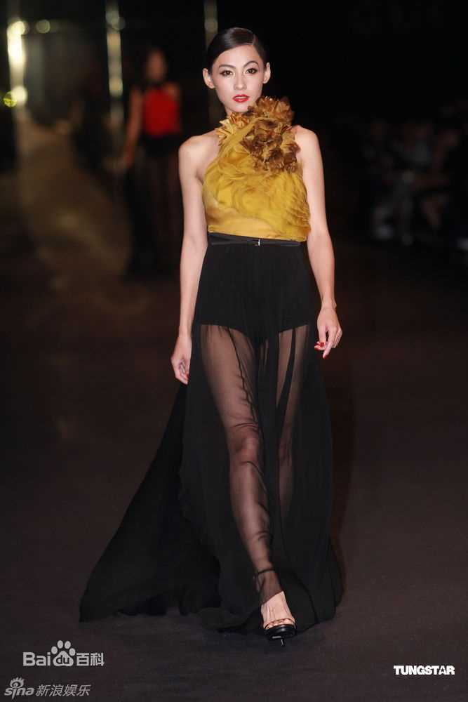 最优质张柏芝(Cecilia Cheung)精彩图册