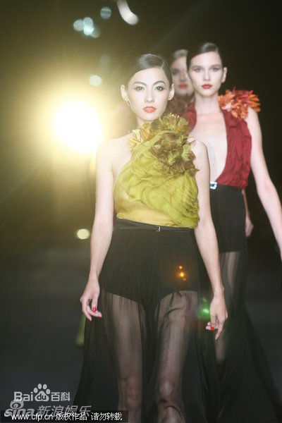 最优质张柏芝(Cecilia Cheung)精彩图册