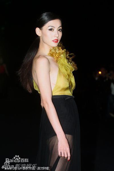 最优质张柏芝(Cecilia Cheung)精彩图册