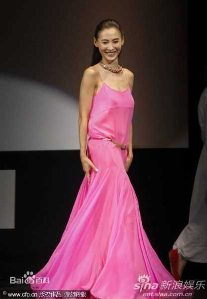 最优质张柏芝(Cecilia Cheung)精彩图册