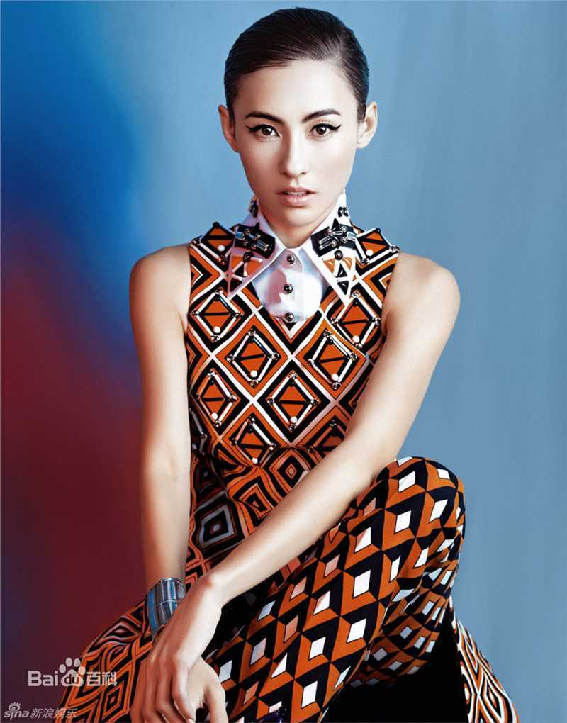 最优质张柏芝(Cecilia Cheung)精彩图册
