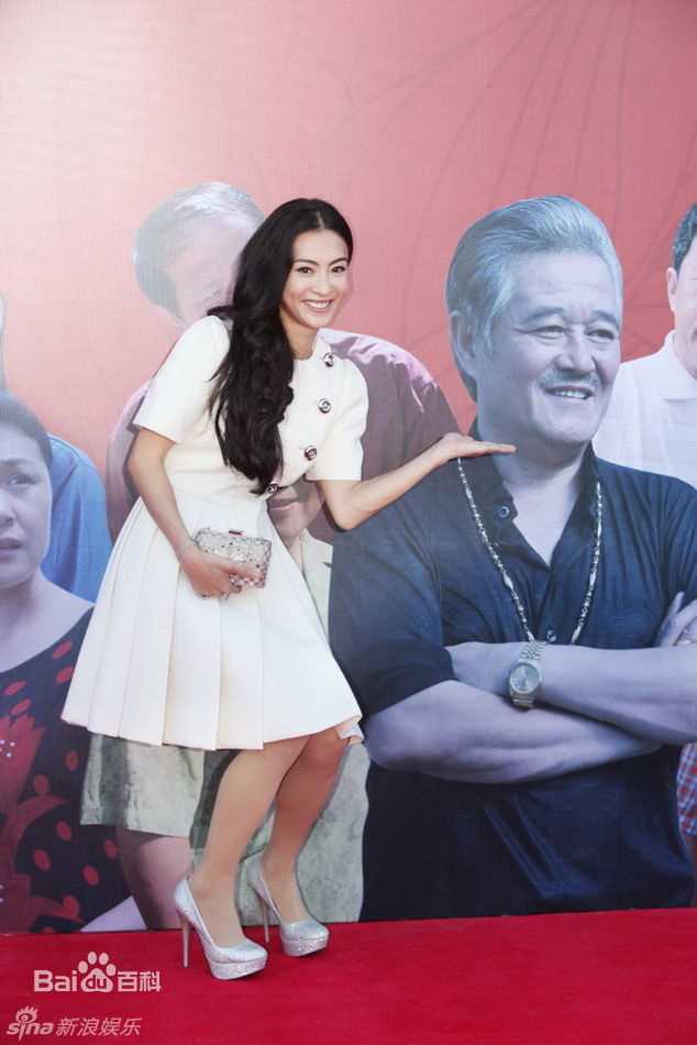 最优质张柏芝(Cecilia Cheung)精彩图册