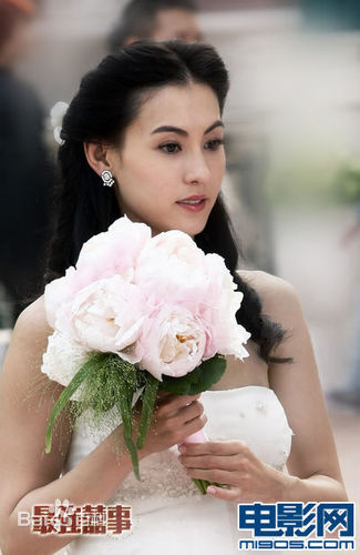 最优质张柏芝(Cecilia Cheung)精彩图册