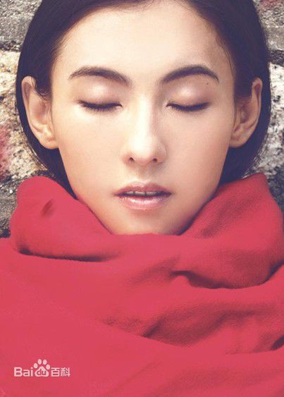 高清张柏芝(Cecilia Cheung)精彩图册4