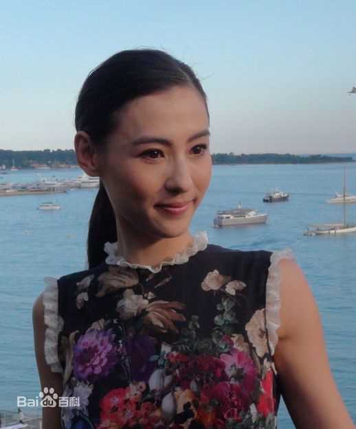 高清张柏芝(Cecilia Cheung)精彩图册4