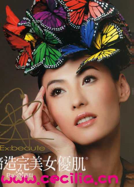 高清张柏芝(Cecilia Cheung)精彩图册4