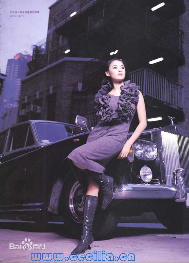 高清张柏芝(Cecilia Cheung)精彩图册4