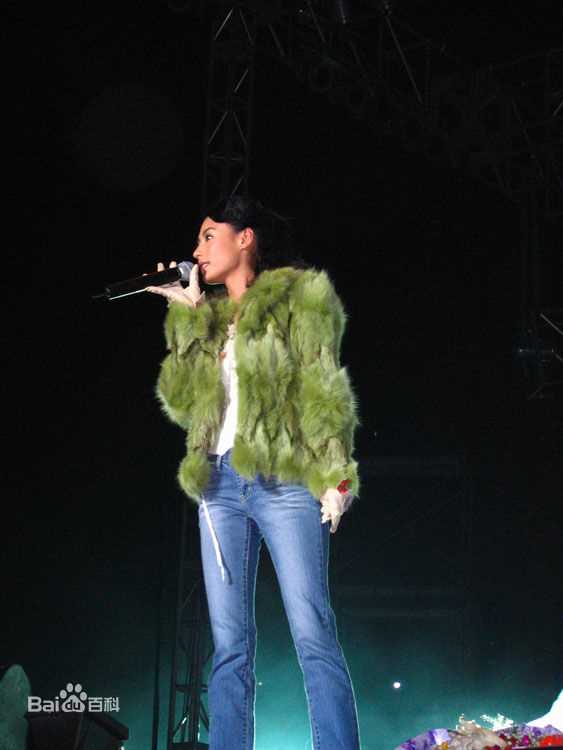 高清张柏芝(Cecilia Cheung)精彩图册4