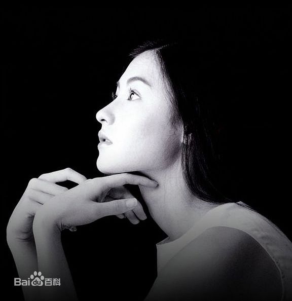 最全张柏芝(Cecilia Cheung)精彩图册2