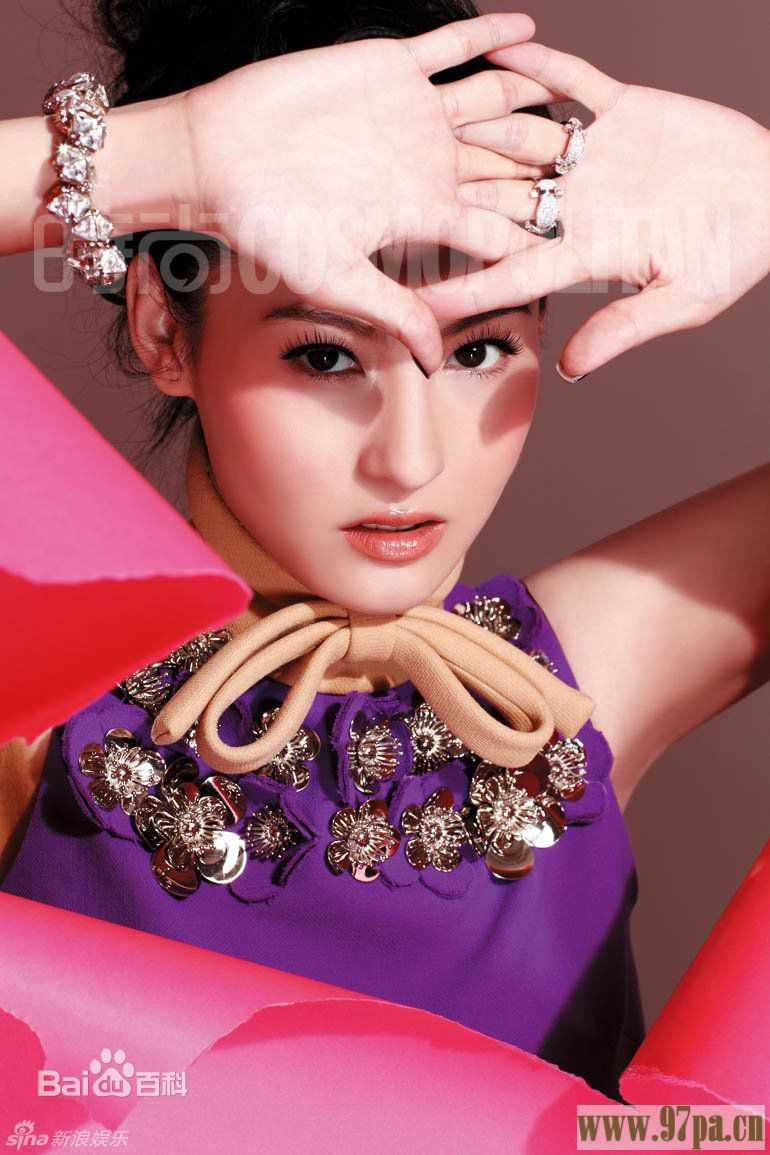 最全张柏芝(Cecilia Cheung)精彩图册2