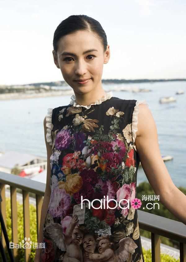 最全张柏芝(Cecilia Cheung)精彩图册2