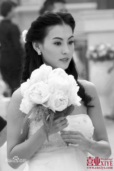 高清张柏芝(Cecilia Cheung)精彩图册