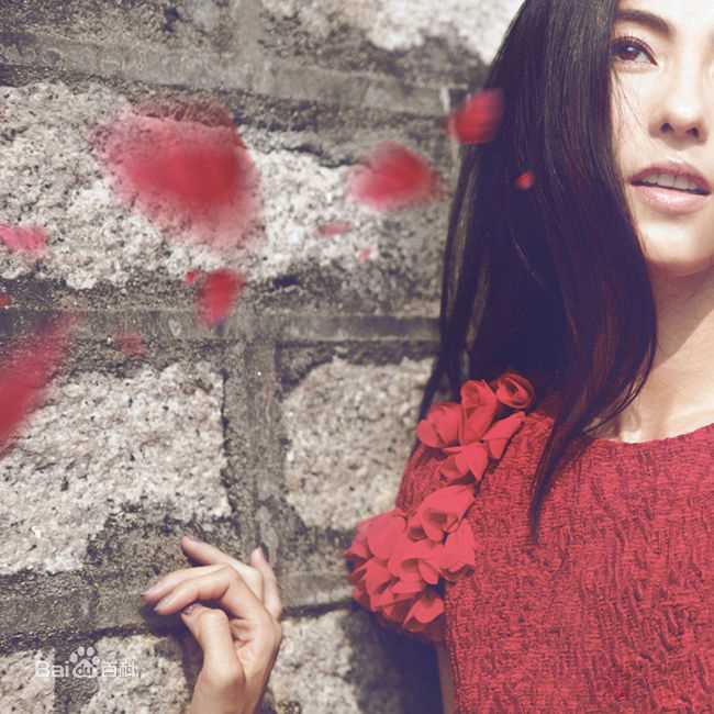 高清张柏芝(Cecilia Cheung)精彩图册