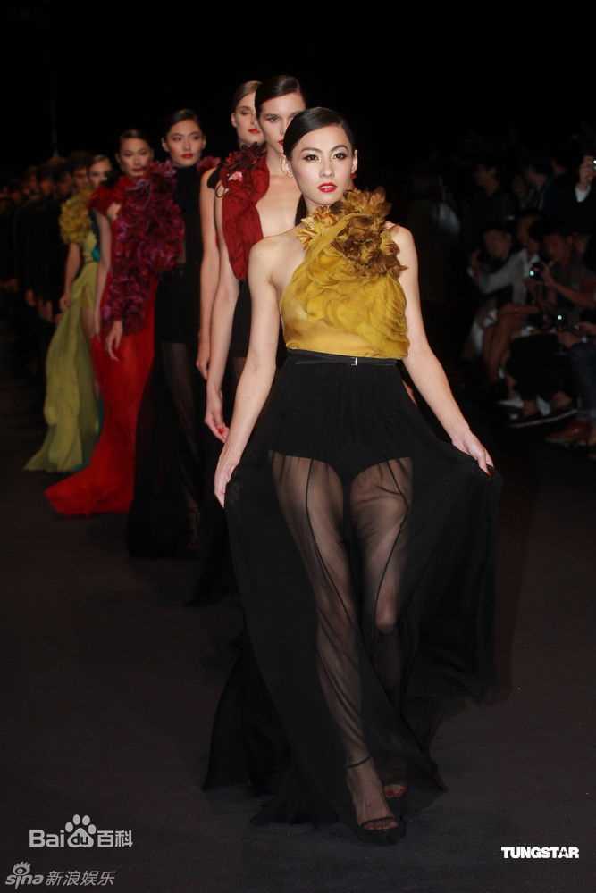 张柏芝(Cecilia Cheung)精彩图册