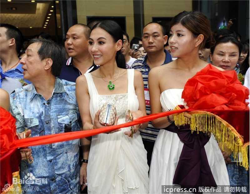 张柏芝(Cecilia Cheung)精彩图册