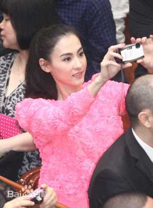 高清张柏芝(Cecilia Cheung)精彩图册2
