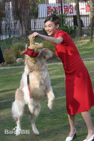 高清张柏芝(Cecilia Cheung)精彩图册2