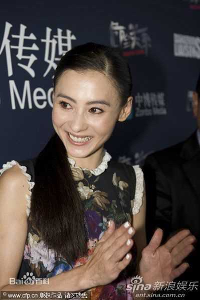 高清张柏芝(Cecilia Cheung)精彩图册2