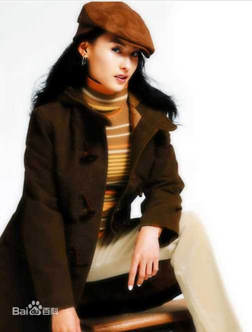 高清张柏芝(Cecilia Cheung)精彩图册2