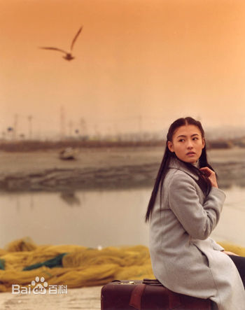 最新张柏芝(Cecilia Cheung)精彩图册5