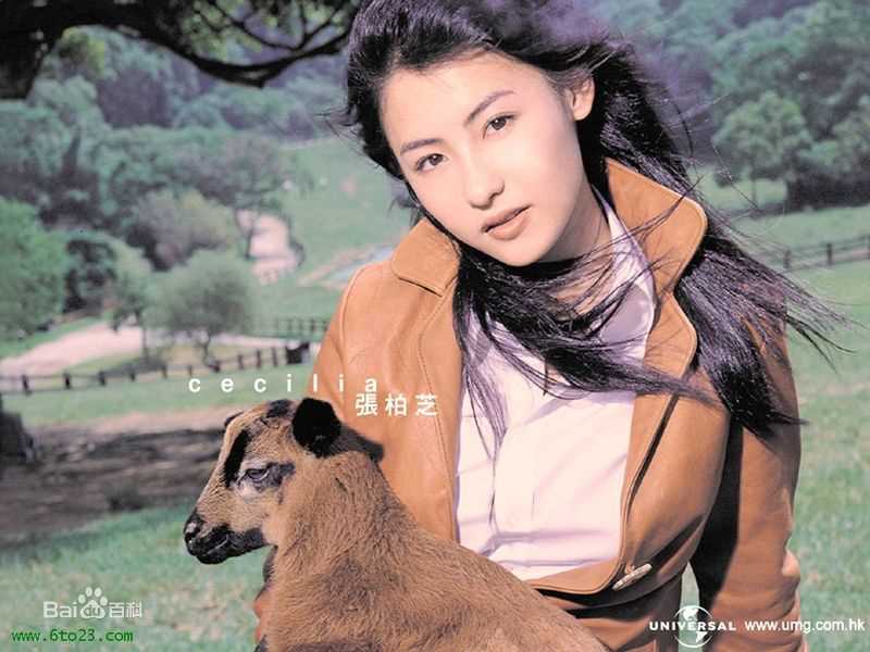 最优质张柏芝(Cecilia Cheung)生活照