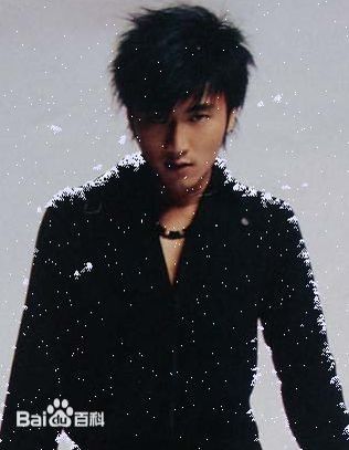 最优质谢霆锋(Nicholas Tse（尼古拉斯 . 谢）)生活照