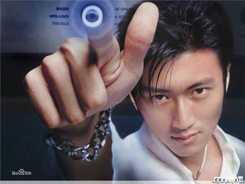 最优质谢霆锋(Nicholas Tse（尼古拉斯 . 谢）)生活照