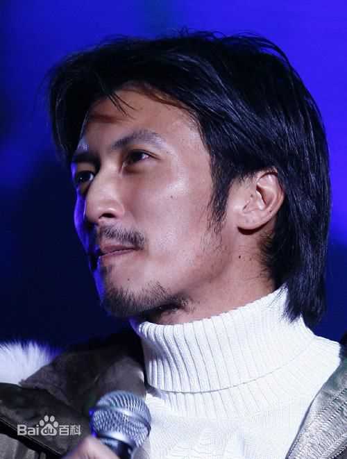 最优质谢霆锋(Nicholas Tse（尼古拉斯 . 谢）)生活照