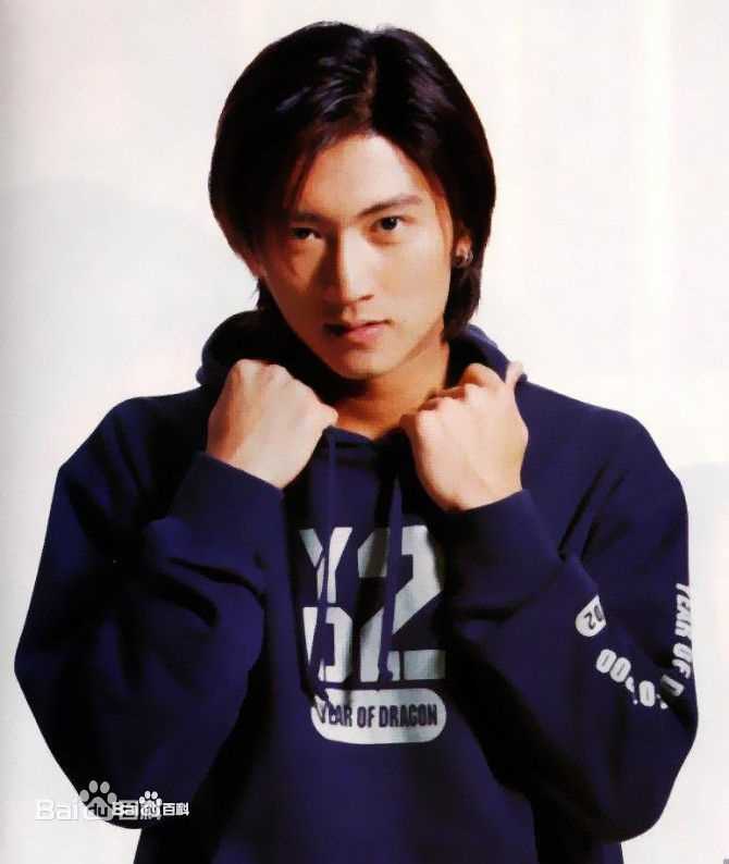 最优质谢霆锋(Nicholas Tse（尼古拉斯 . 谢）)生活照
