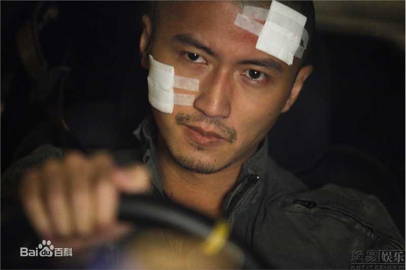 最全谢霆锋(Nicholas Tse（尼古拉斯 . 谢）)精彩图册