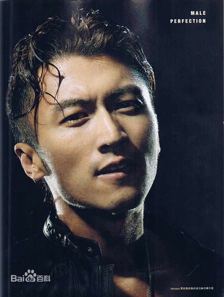 最新谢霆锋(Nicholas Tse（尼古拉斯 . 谢）)精彩图册