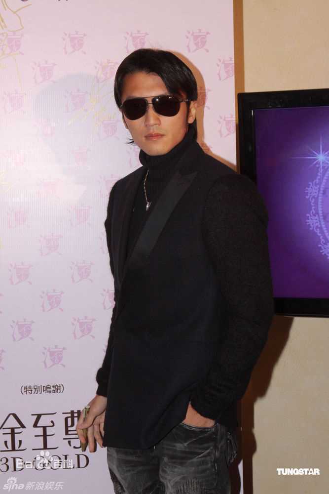 精选谢霆锋(Nicholas Tse（尼古拉斯 . 谢）)精彩图册