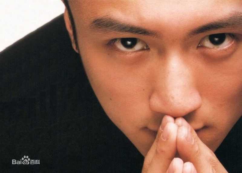 精选谢霆锋(Nicholas Tse（尼古拉斯 . 谢）)精彩图册1