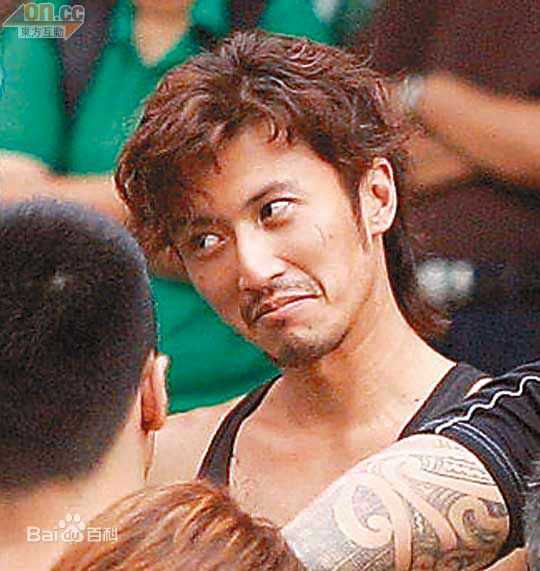 精选谢霆锋(Nicholas Tse（尼古拉斯 . 谢）)精彩图册1