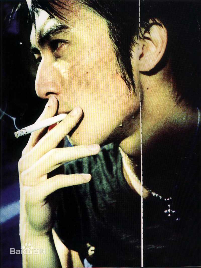 最优质谢霆锋(Nicholas Tse（尼古拉斯 . 谢）)精彩图册