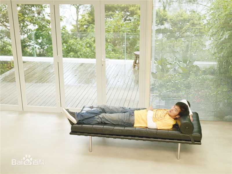 最优质谢霆锋(Nicholas Tse（尼古拉斯 . 谢）)精彩图册