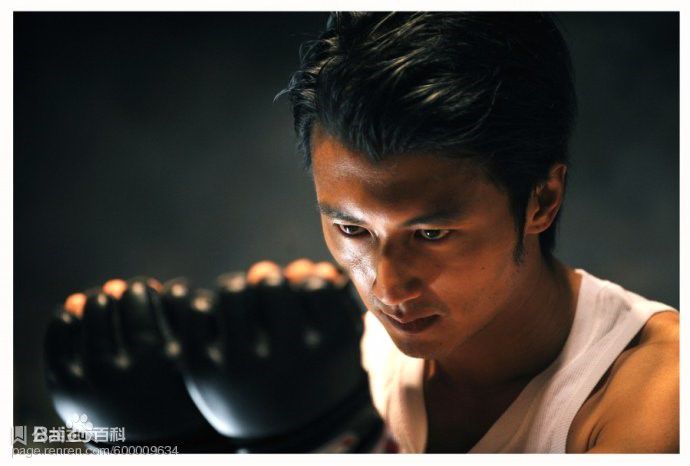 最优质谢霆锋(Nicholas Tse（尼古拉斯 . 谢）)精彩图册