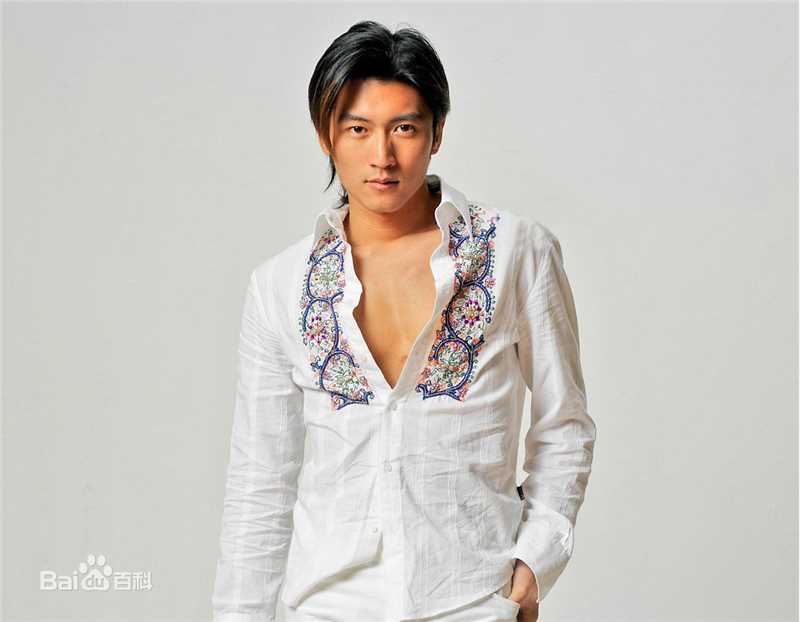 最优质谢霆锋(Nicholas Tse（尼古拉斯 . 谢）)精彩图册