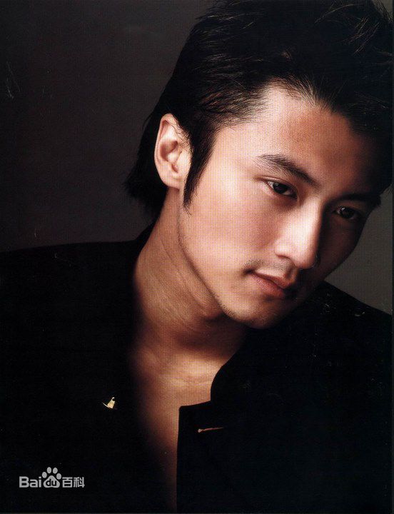 最优质谢霆锋(Nicholas Tse（尼古拉斯 . 谢）)精彩图册