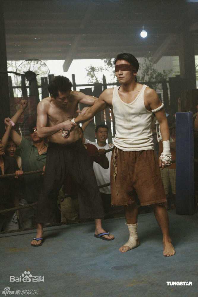 精选谢霆锋(Nicholas Tse（尼古拉斯 . 谢）)精彩图册