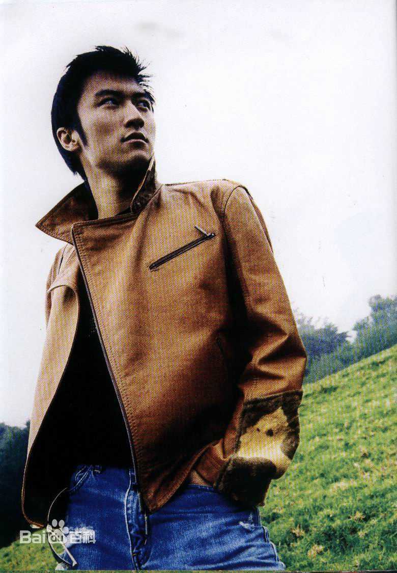 谢霆锋(Nicholas Tse（尼古拉斯 . 谢）)最全 早期壁纸