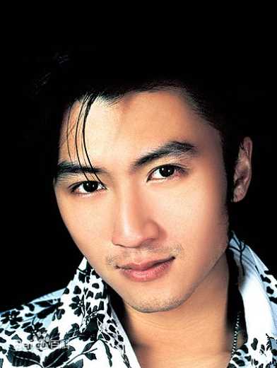 谢霆锋(Nicholas Tse（尼古拉斯 . 谢）)珍藏YES图片集图册