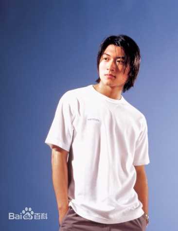 谢霆锋(Nicholas Tse（尼古拉斯 . 谢）)珍藏YES图片集图册