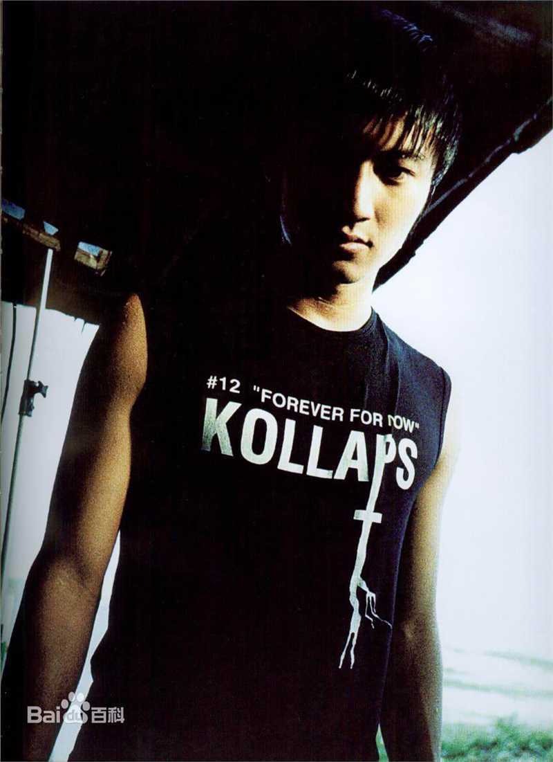 谢霆锋(Nicholas Tse（尼古拉斯 . 谢）)最优质 帅气