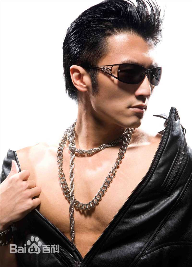 谢霆锋(Nicholas Tse（尼古拉斯 . 谢）)最优质 帅气