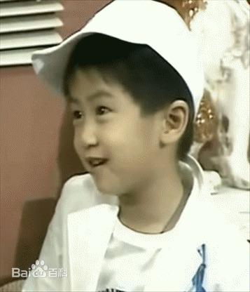 精选谢霆锋(Nicholas Tse（尼古拉斯 . 谢）)