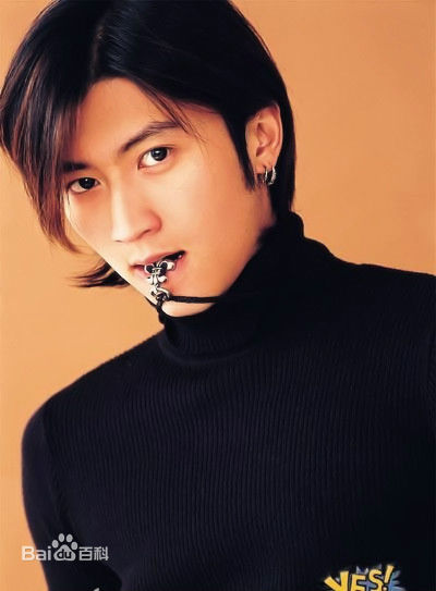精选谢霆锋(Nicholas Tse（尼古拉斯 . 谢）)