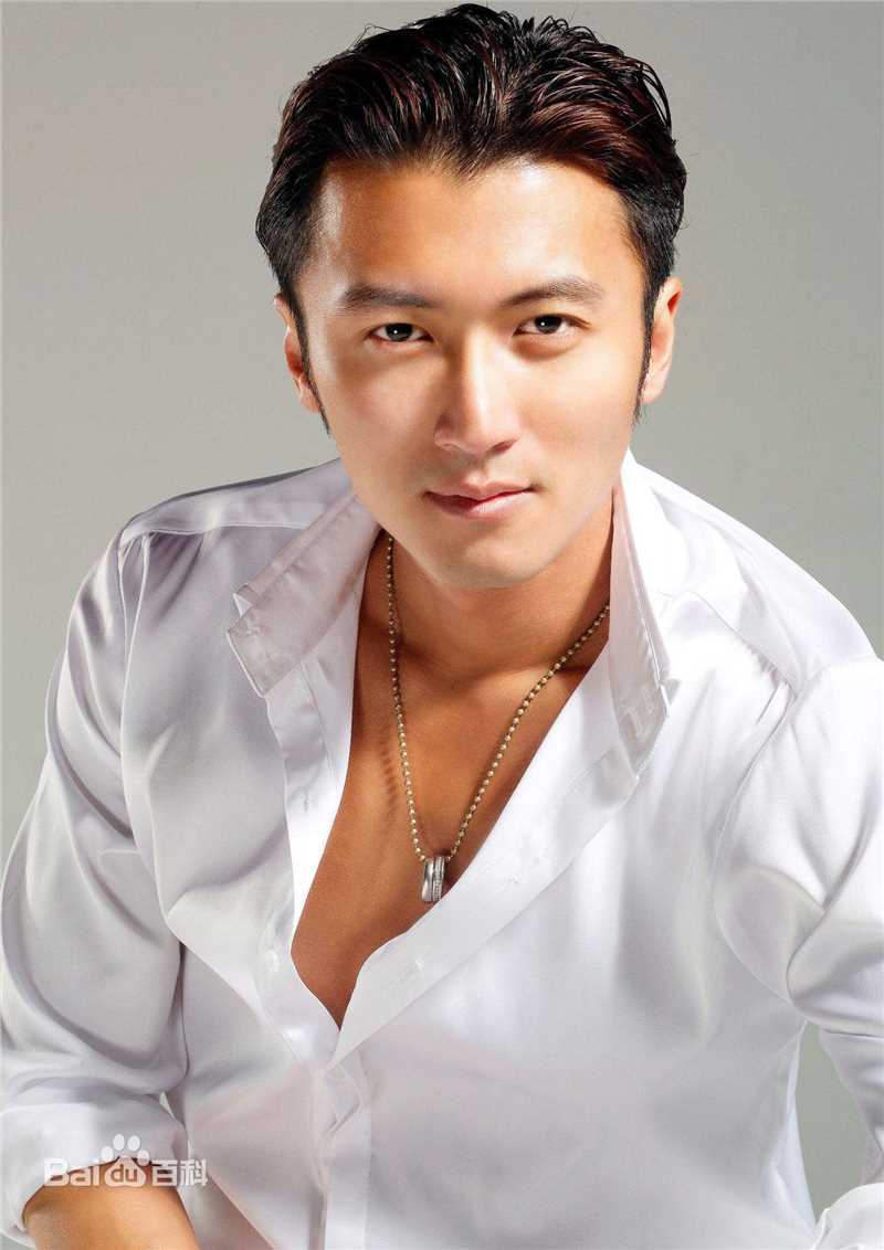 精选谢霆锋(Nicholas Tse（尼古拉斯 . 谢）)