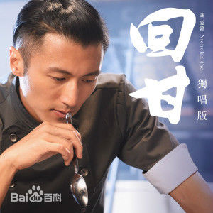 精选谢霆锋(Nicholas Tse（尼古拉斯 . 谢）)